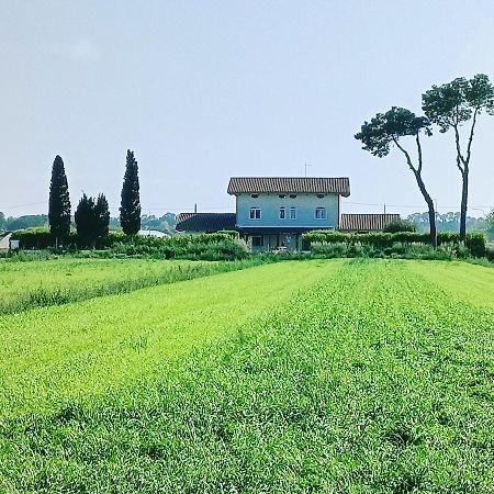 帕埃斯图姆La Ricarda Dimora Di Campagna住宿加早餐旅馆 外观 照片