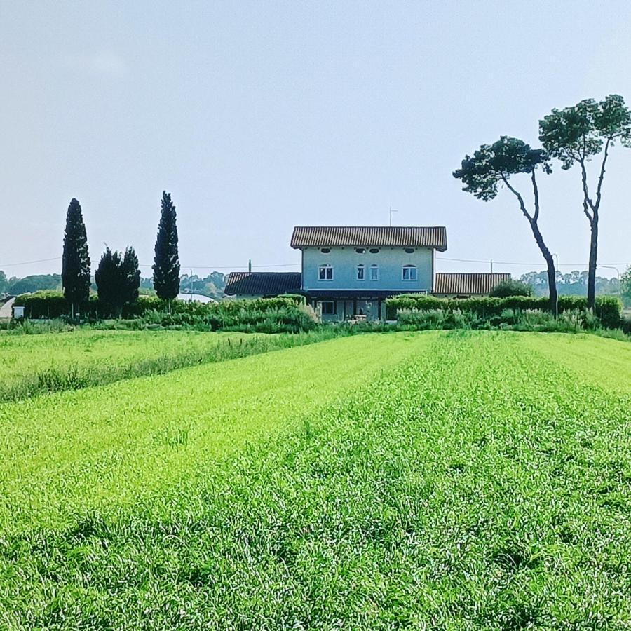 帕埃斯图姆La Ricarda Dimora Di Campagna住宿加早餐旅馆 外观 照片